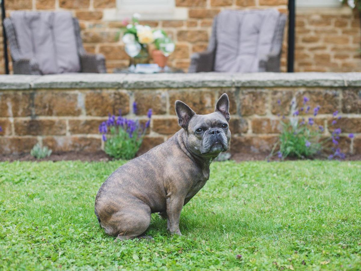 Climbing Rose Cottage - Dog Friendly - Peaceful Cotswold Cottage Adlestrop Eksteriør billede